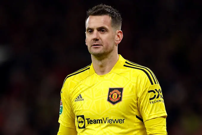 tom-heaton