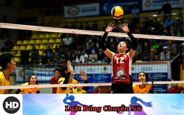 Luật Bóng Chuyền Nữ