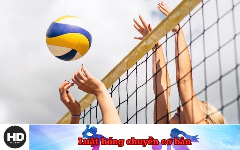 Luật bóng chuyền cơ bản