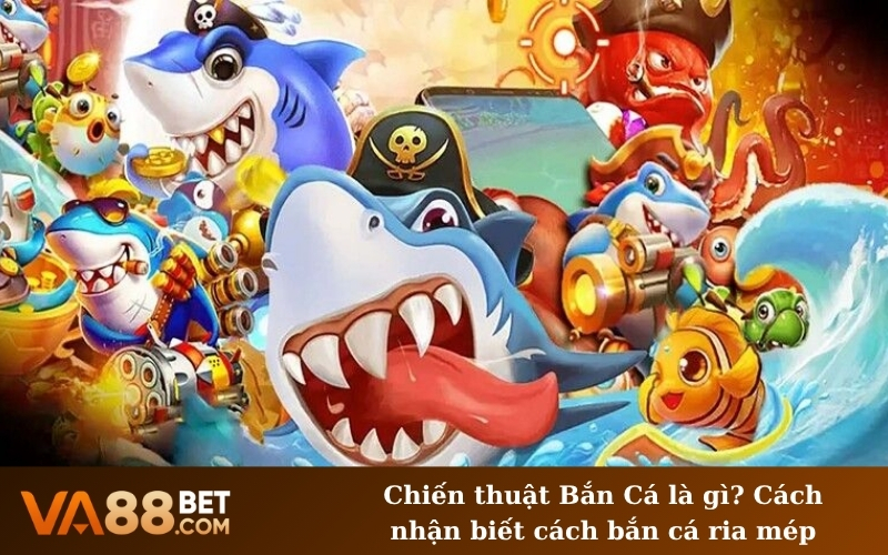 Chiến thuật Bắn Cá là gì? Cách nhận biết cách bắn cá ria mép