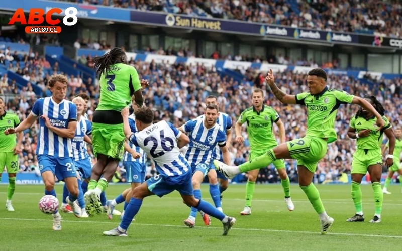 Fulham - Brighton: Cuộc chiến tầm trung