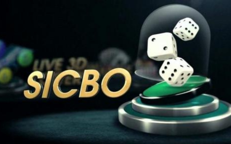 Cách theo dõi dữ liệu game xúc xắc online hiệu quả hơn