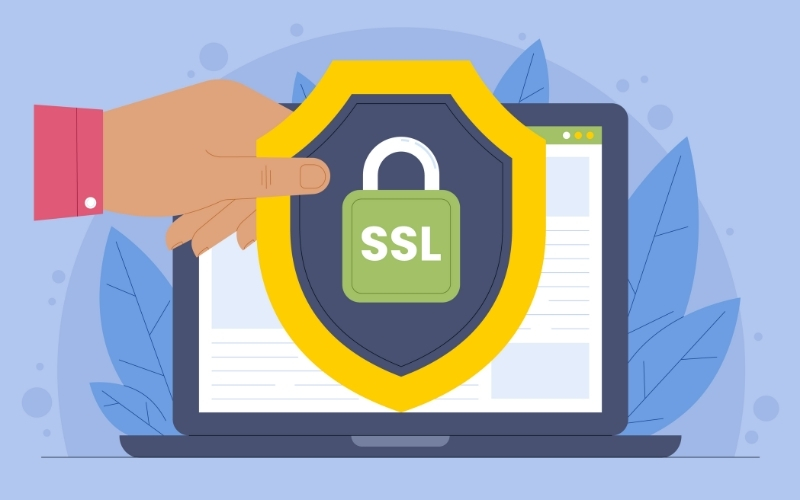 Công nghệ mã hóa SSL bảo vệ dữ liệu người chơi như thế nào?